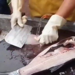 小姐姐阉鸡高手,小姐姐的阉鸡高手之路